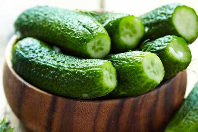 Fresh-Cucumber-Lots-of-Possibilities-and-low-In-Calories