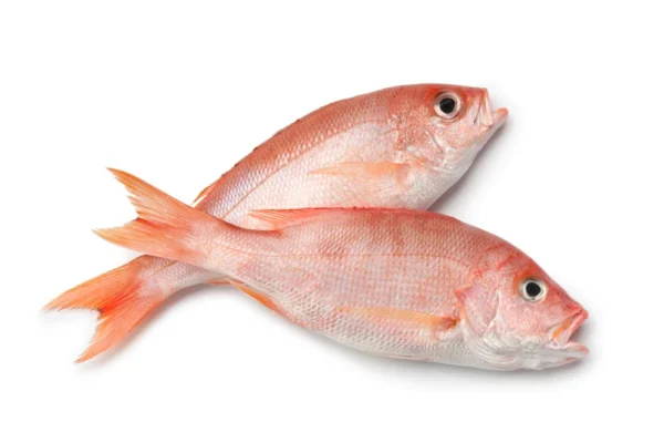 Red Snapper Fish 5lbs