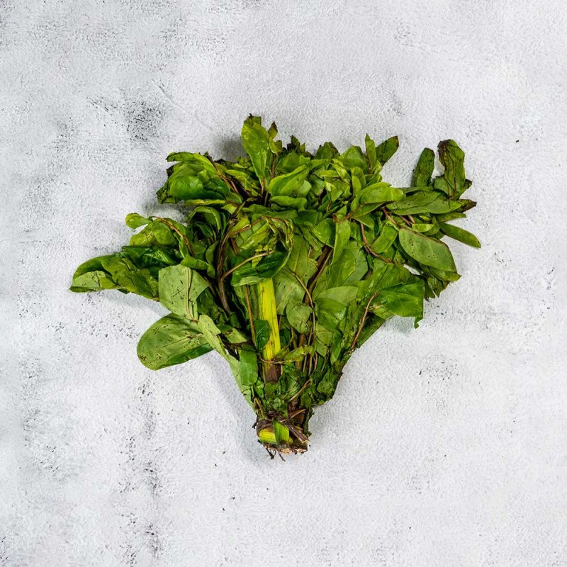fresh-oha-leaves-bunch